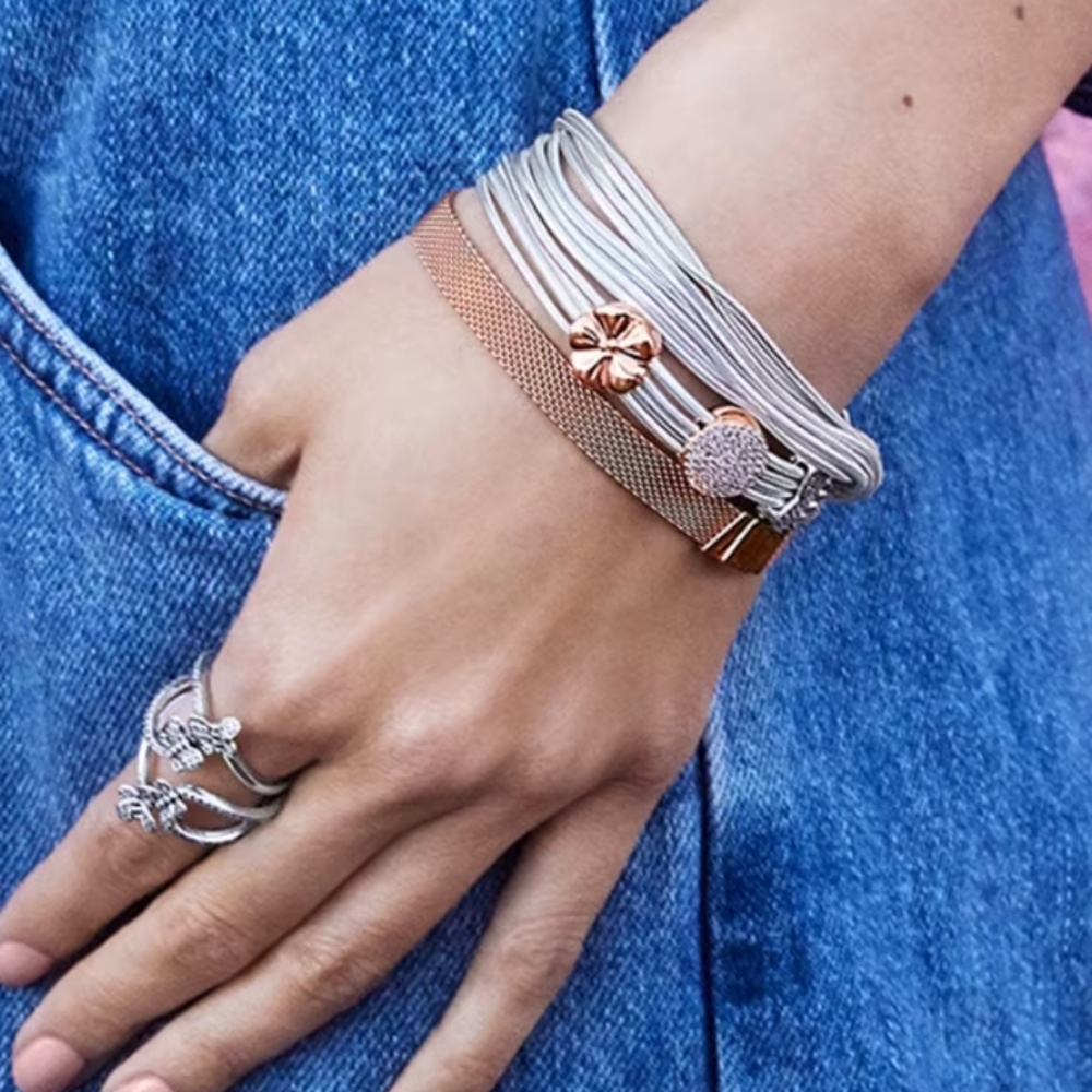 Pandora Refections Bracelets 2 - Picture 15 of 16